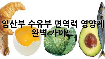 임산부, 수유부 면역력 영양제 완벽 가이드