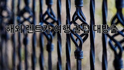 해외 렌트카 여행 꿀팁 대방출! 🚗🗺️